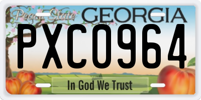 GA license plate PXC0964
