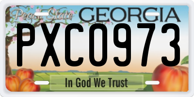 GA license plate PXC0973