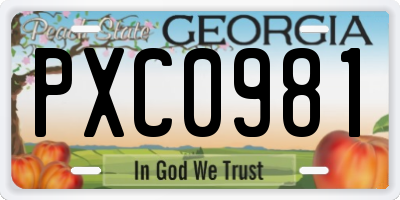 GA license plate PXC0981