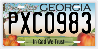 GA license plate PXC0983