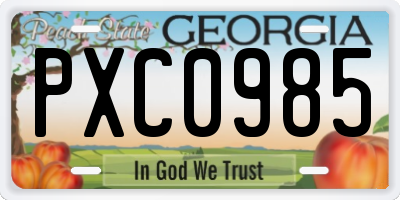 GA license plate PXC0985
