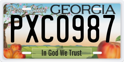 GA license plate PXC0987