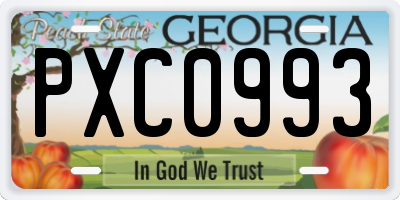 GA license plate PXC0993