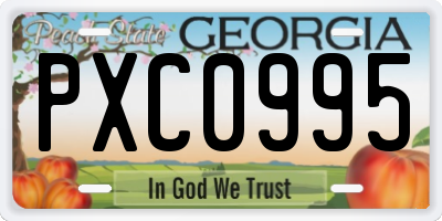 GA license plate PXC0995