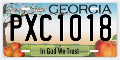 GA license plate PXC1018