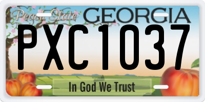 GA license plate PXC1037