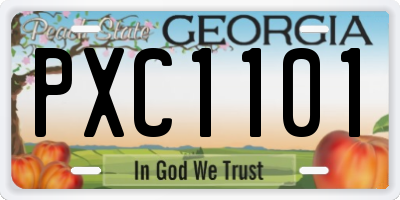 GA license plate PXC1101