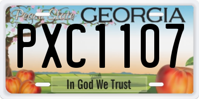 GA license plate PXC1107