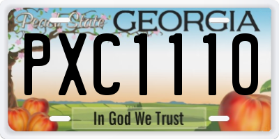GA license plate PXC1110