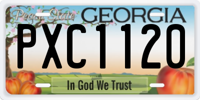 GA license plate PXC1120