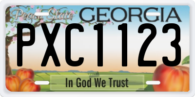 GA license plate PXC1123