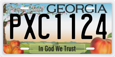 GA license plate PXC1124