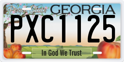 GA license plate PXC1125