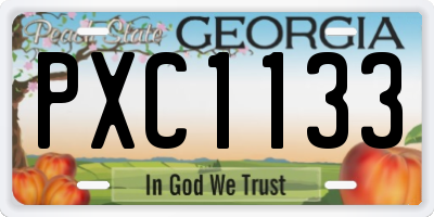 GA license plate PXC1133