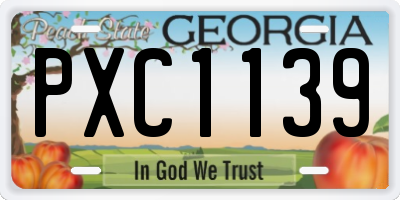 GA license plate PXC1139