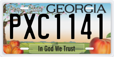 GA license plate PXC1141