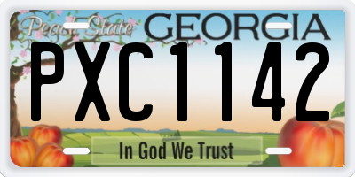 GA license plate PXC1142