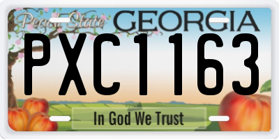 GA license plate PXC1163