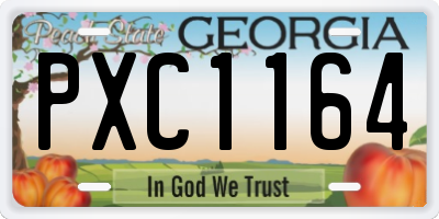 GA license plate PXC1164