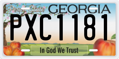 GA license plate PXC1181