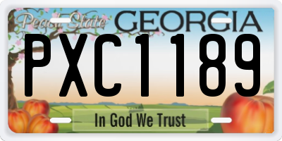 GA license plate PXC1189