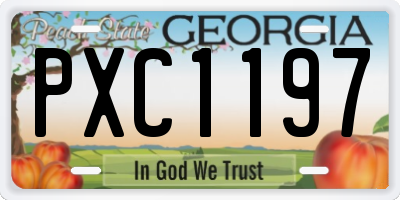 GA license plate PXC1197