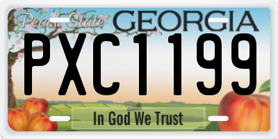 GA license plate PXC1199