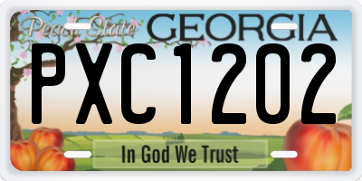 GA license plate PXC1202