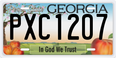 GA license plate PXC1207