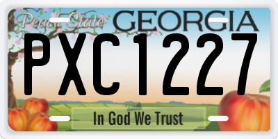 GA license plate PXC1227