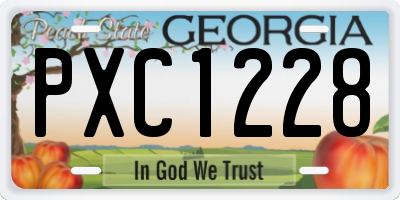 GA license plate PXC1228
