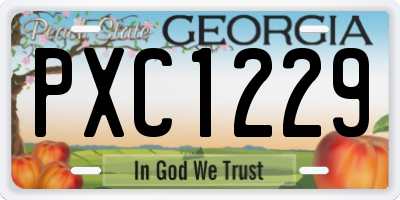 GA license plate PXC1229