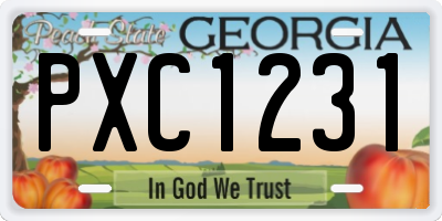 GA license plate PXC1231