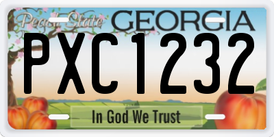 GA license plate PXC1232