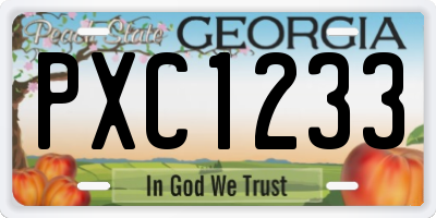 GA license plate PXC1233