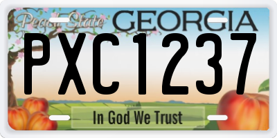 GA license plate PXC1237