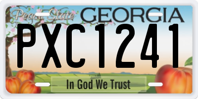 GA license plate PXC1241