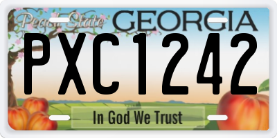 GA license plate PXC1242