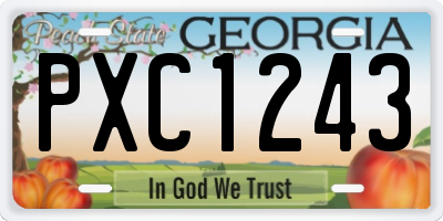 GA license plate PXC1243