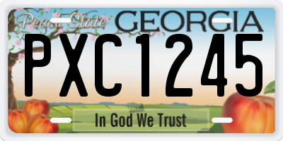 GA license plate PXC1245
