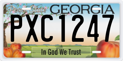 GA license plate PXC1247
