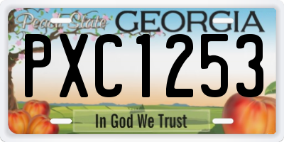 GA license plate PXC1253