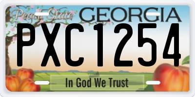 GA license plate PXC1254