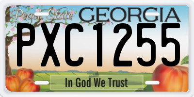 GA license plate PXC1255