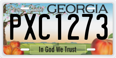 GA license plate PXC1273