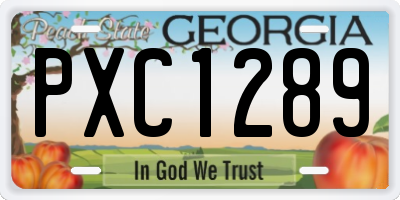 GA license plate PXC1289