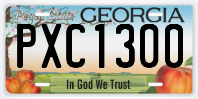 GA license plate PXC1300
