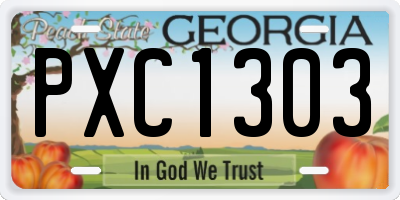 GA license plate PXC1303