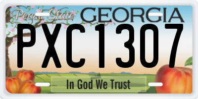 GA license plate PXC1307