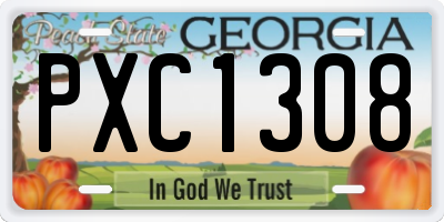 GA license plate PXC1308